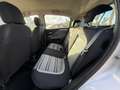 Fiat Punto 1.3MJT 75CV LOUNGE 5 PORTE GANCIO TRAINO Gris - thumbnail 7