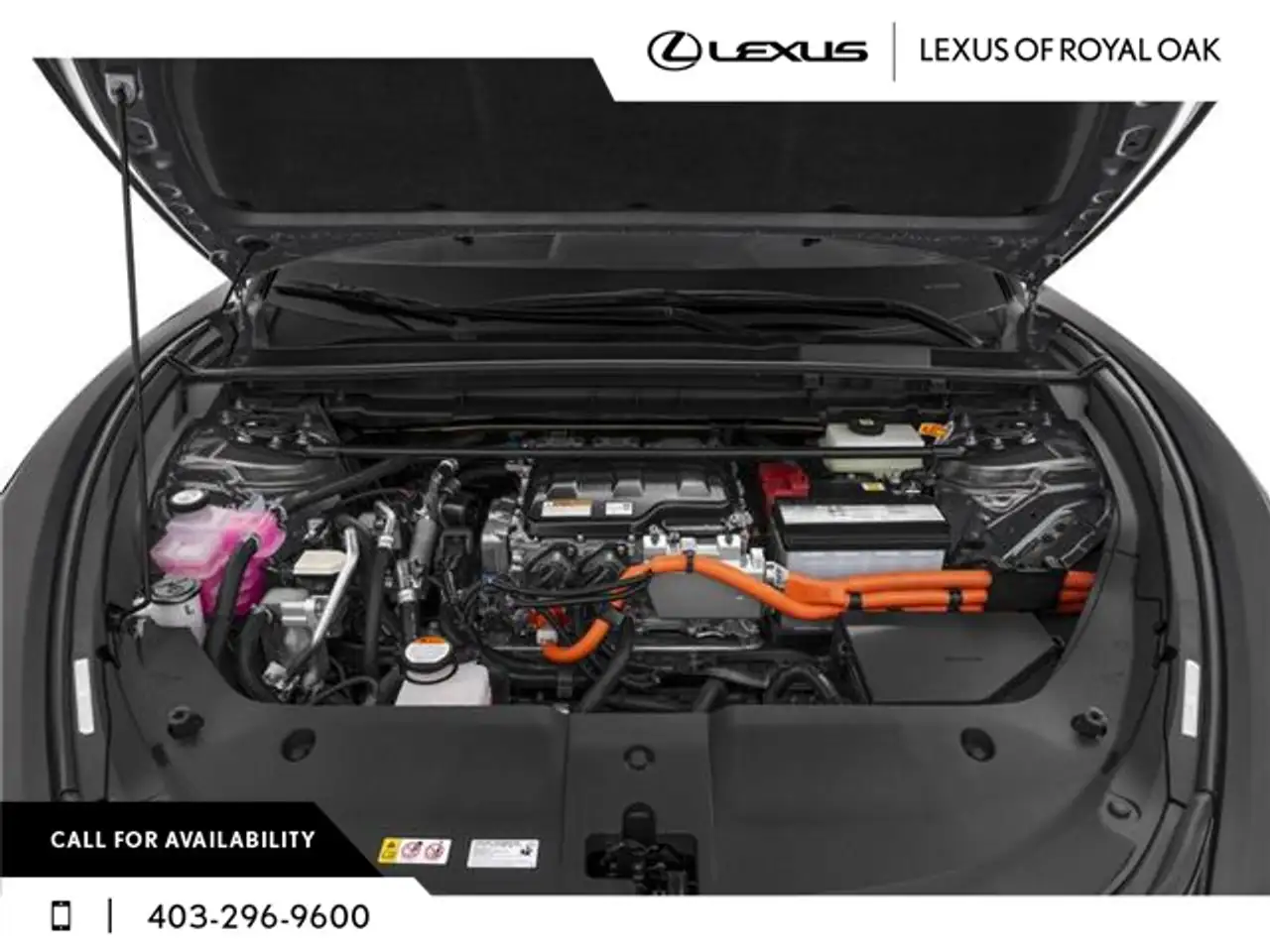 Lexus RZ fotografie Lexus RZ