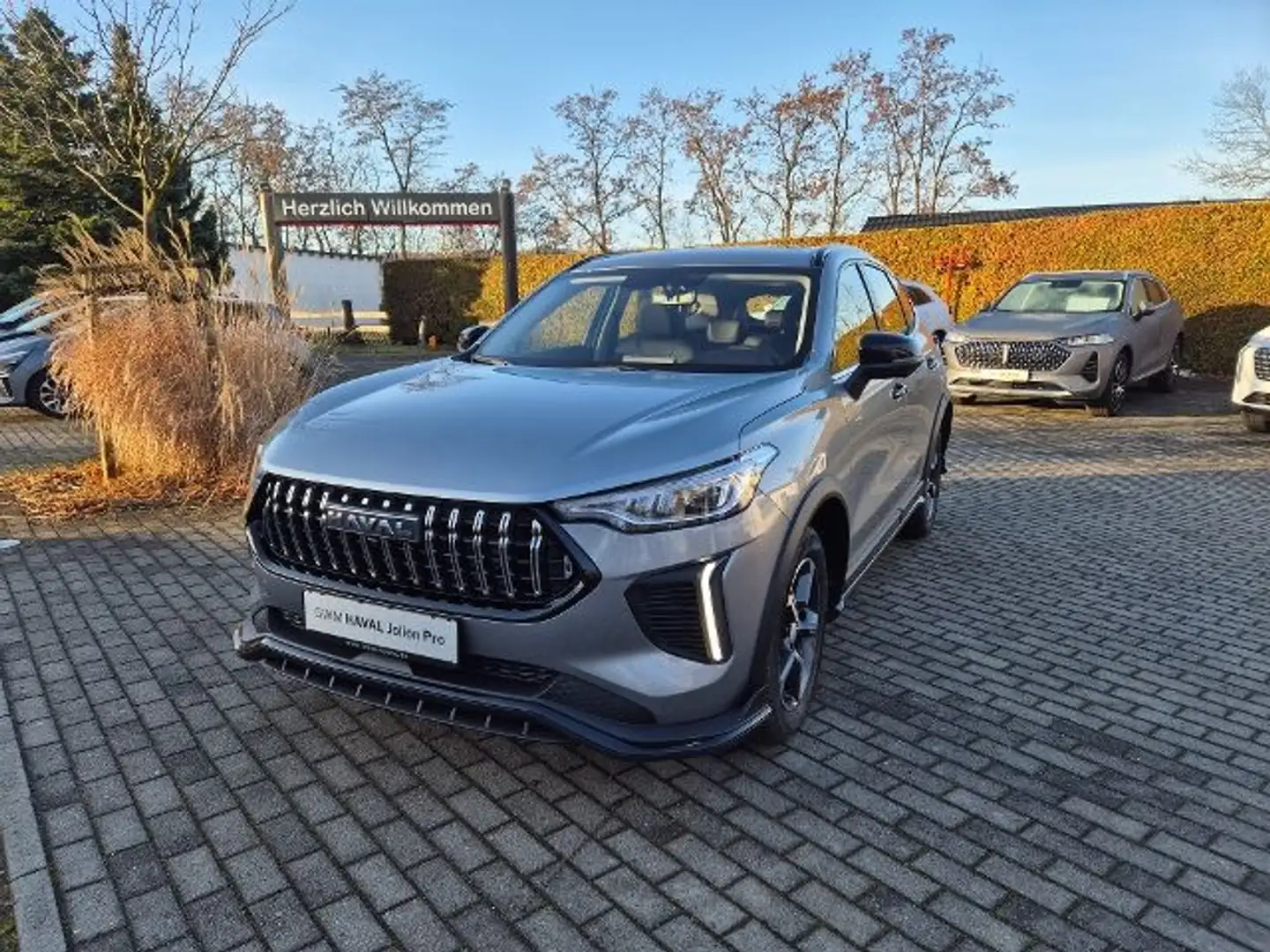 GWM HAVAL Jolion Pro HAVAL JolionPro HAVAL Jolion Pro PREMIUM 5 Jahre Grau - 1