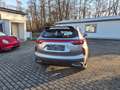GWM HAVAL Jolion Pro HAVAL JolionPro HAVAL Jolion Pro PREMIUM 5 Jahre Grau - thumbnail 6