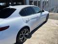 Alfa Romeo Giulia Giulia 2016 2.2 t Super 160cv auto my19 Bianco - thumbnail 6