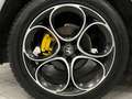 Alfa Romeo Stelvio 2.2 TD 210 CV VELOCE Q4 SOSPENSIONI REGOLABILI Grigio - thumbnail 18