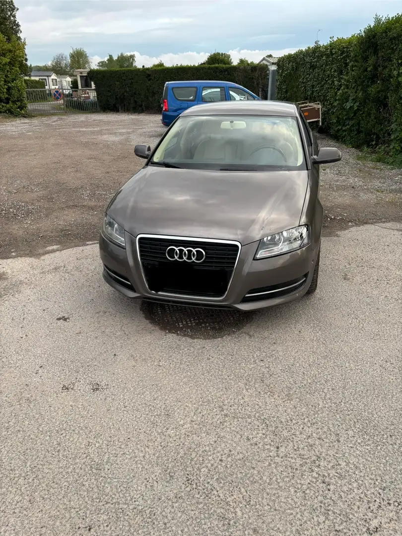 Audi A3 1.6 TDI Sportback DPF S tronic Attraction Bronce - 1