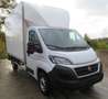 Fiat Ducato 2.3dci - 140pk - bak + klep Wit - thumbnail 1