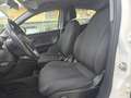 Lancia Ypsilon 1.0 FireFly 5 porte S&S Hybrid Ecochic NO Obbli. d White - thumbnail 11