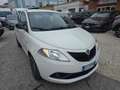 Lancia Ypsilon 1.0 FireFly 5 porte S&S Hybrid Ecochic NO Obbli. d White - thumbnail 1