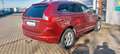 Volvo XC60 XC60 Summum AWD Rojo - thumbnail 4