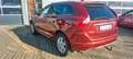 Volvo XC60 XC60 Summum AWD Rojo - thumbnail 2