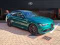 Alfa Romeo Giulia 2.9 V6 Bi-Turbo AT8 Quadrifoglio Verde - thumbnail 3
