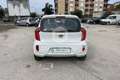 Kia Picanto Picanto 1.0 12V EcoGPL 5 porte Glam Bianco - thumbnail 6