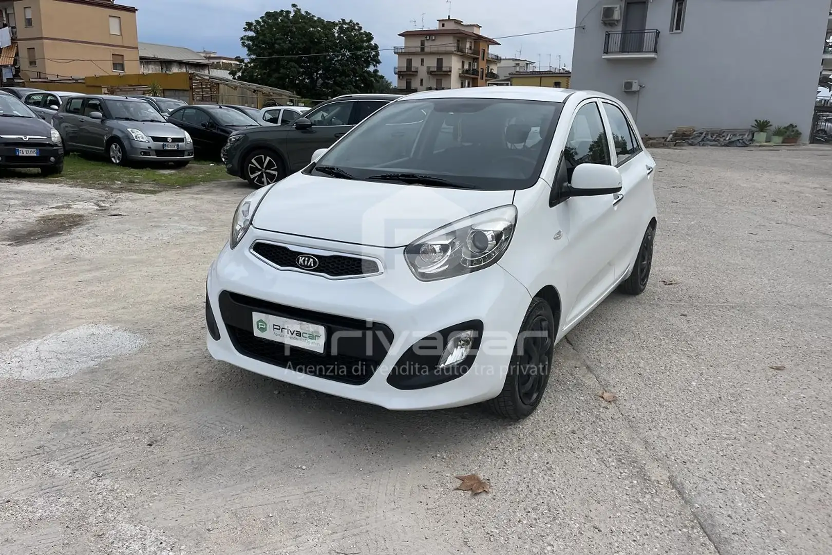 Kia Picanto Picanto 1.0 12V EcoGPL 5 porte Glam Bianco - 1
