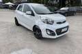 Kia Picanto Picanto 1.0 12V EcoGPL 5 porte Glam Bianco - thumbnail 3