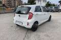Kia Picanto Picanto 1.0 12V EcoGPL 5 porte Glam Bianco - thumbnail 5
