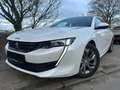 Peugeot 508 SW BlueHDi 130 Allure Aut./Navi/LED/Panorama Weiß - thumbnail 2