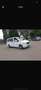 Mercedes-Benz Viano Viano - W639 2003 2.2 cdi Ambiente L Bianco - thumbnail 6