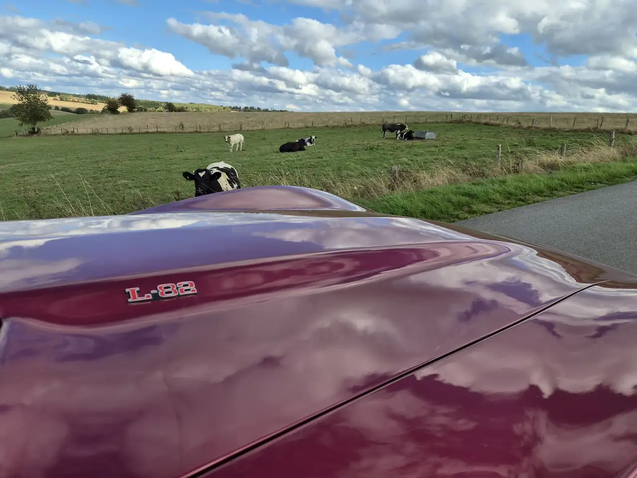 Chevrolet Corvette 5.7 V8 L82, foto 5