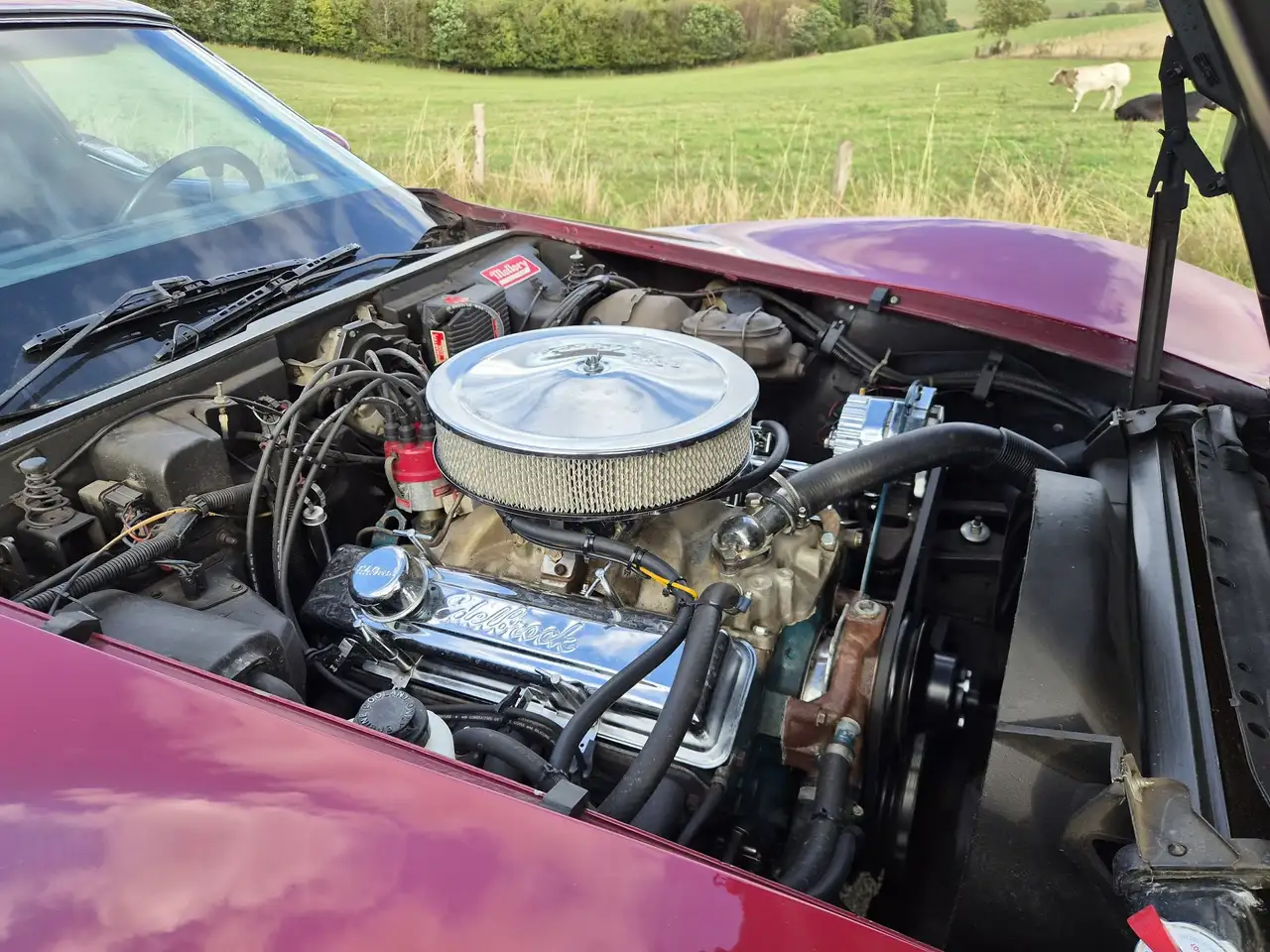 Chevrolet Corvette 5.7 V8 L82, foto 8