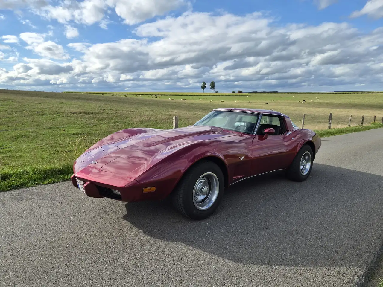 Chevrolet Corvette 5.7 V8 L82, foto 2