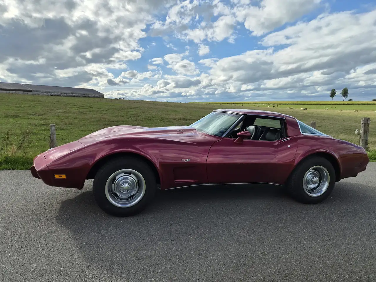 Chevrolet Corvette 5.7 V8 L82, foto 6