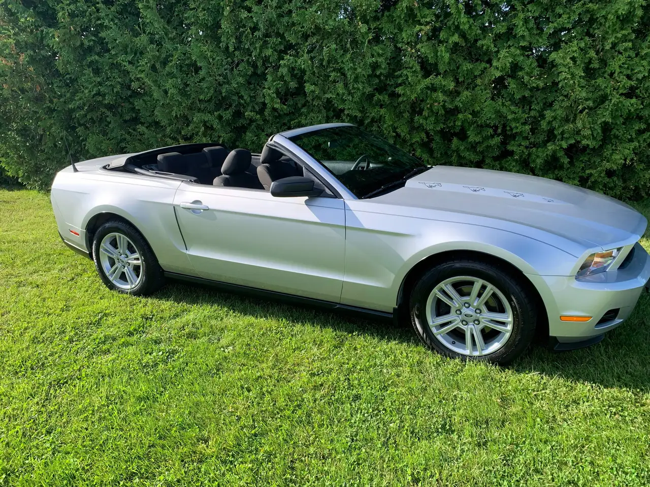 2010 Ford Mustang