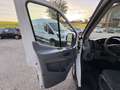 Ford Transit Transit Pritsche 2,0 TDCi L4H1 350 Ambiente  MwSt. - thumbnail 10