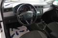 SEAT Ibiza 1.0 TSI Style*1.HAND*KLIMA*ALU* Bianco - thumbnail 8