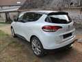 Renault Scenic Scenic 1.7 Blue dCi Limited Blanc - thumbnail 5