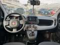 Fiat Panda Panda 1.0 FireFly S&S Hybrid City Life Blanc - thumbnail 15