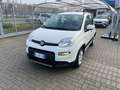 Fiat Panda Panda 1.0 FireFly S&S Hybrid City Life Blanc - thumbnail 1