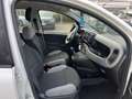 Fiat Panda Panda 1.0 FireFly S&S Hybrid City Life Blanc - thumbnail 12