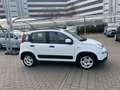 Fiat Panda Panda 1.0 FireFly S&S Hybrid City Life Blanc - thumbnail 4