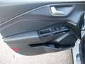Ford Puma ST-LINE X 1.0 125PS -FACELIFT- Winter FAP LED Matr Grau - thumbnail 16