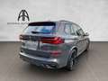 BMW X5 50e xD M Sport Pro Iconic Luft H&K Abgas 22 Grau - thumbnail 7
