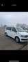 Volkswagen Transporter t6 - thumbnail 2