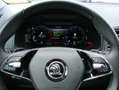 Skoda Karoq 1.5TSi Style ACC Navi Kamera AHK Blau - thumbnail 10