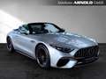 Mercedes-Benz SL 55 AMG Mercedes-AMG SL 55 4M+ Premium+ 360° Perf-Sitze Silber - thumbnail 7