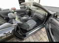 Mercedes-Benz CLK 240 CLK Cabrio 240Elegance Schwarz - thumbnail 8