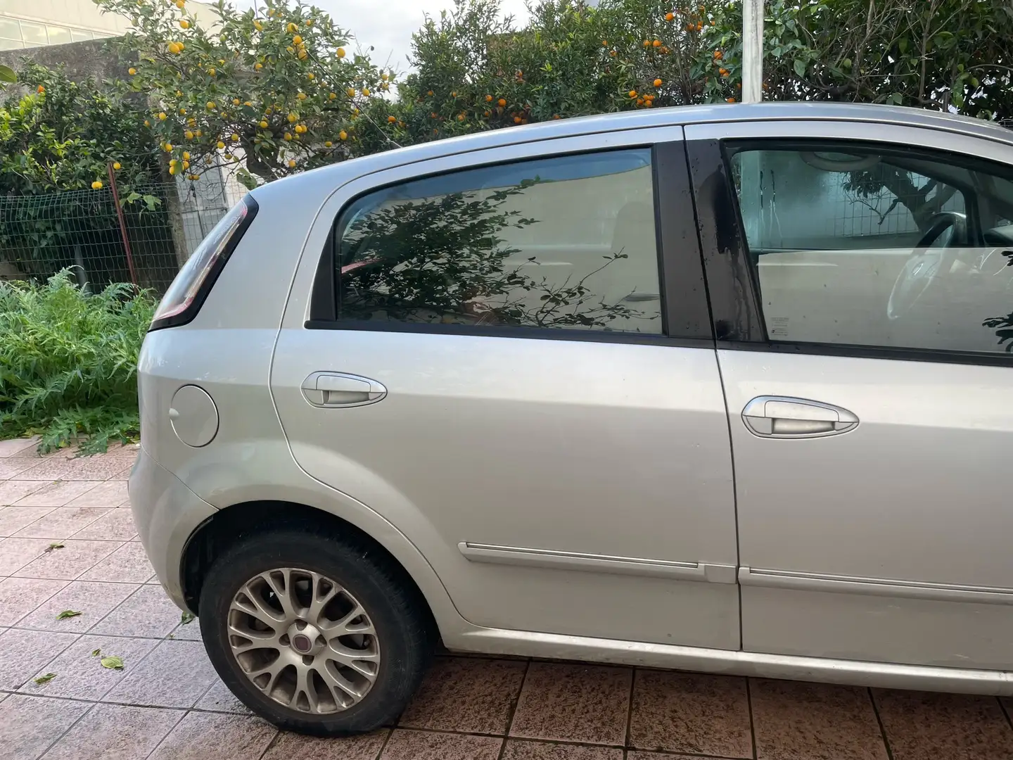 Fiat Punto Evo Dynamic Argento - 2