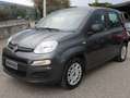 Fiat Panda Panda 1.2 Easy 69cv Grigio - thumbnail 2