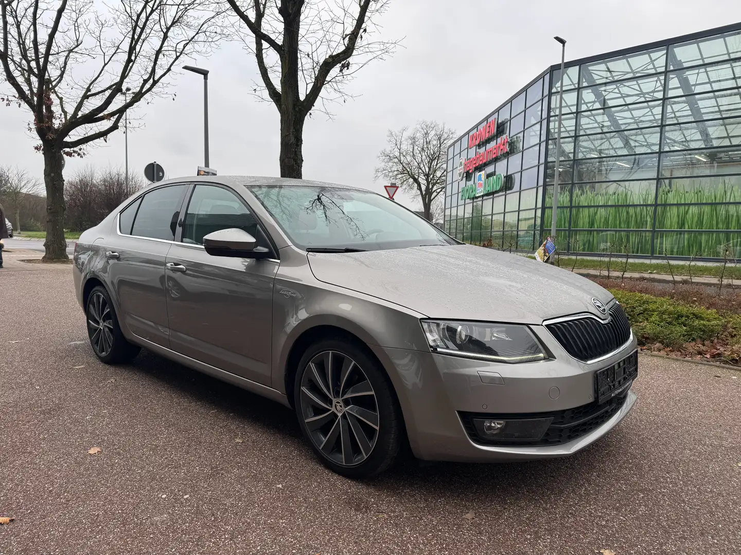 Skoda Octavia 2.0 TDI DSG Laurin&Klement Kamera/Carplay Beige - 2