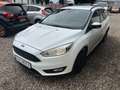 Ford Focus Kombi Business* Klima * Navi * SHZ * TFL * HU neu Blanc - thumbnail 1