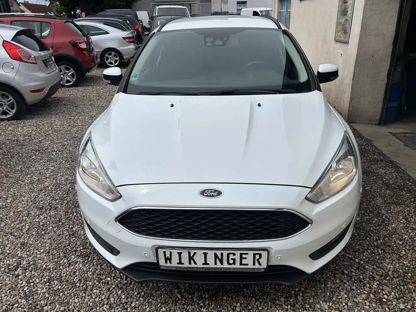 Ford Focus Kombi Business* Klima * Navi * SHZ * TFL * HU neu Blanc - 2