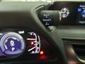 Lexus UX 250h 2.0 Business Rood - thumbnail 20