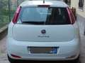 Fiat Punto 5p 1.3 mjt 16v Street 75cv E5+ White - thumbnail 2