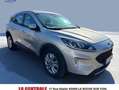 Ford Kuga Kuga 1.5 EcoBlue 120 BVM6 Trend Gris - thumbnail 1