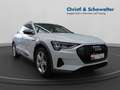 Audi e-tron 55 quattro advanced NAVI MATRIX AHK PANO NAVI MATR Weiß - thumbnail 8