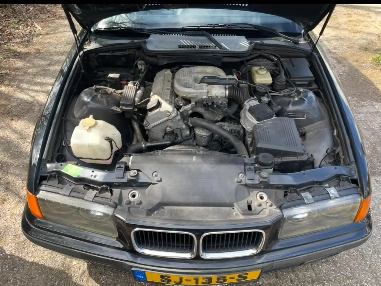 BMW 318 Cabriolet, foto 10