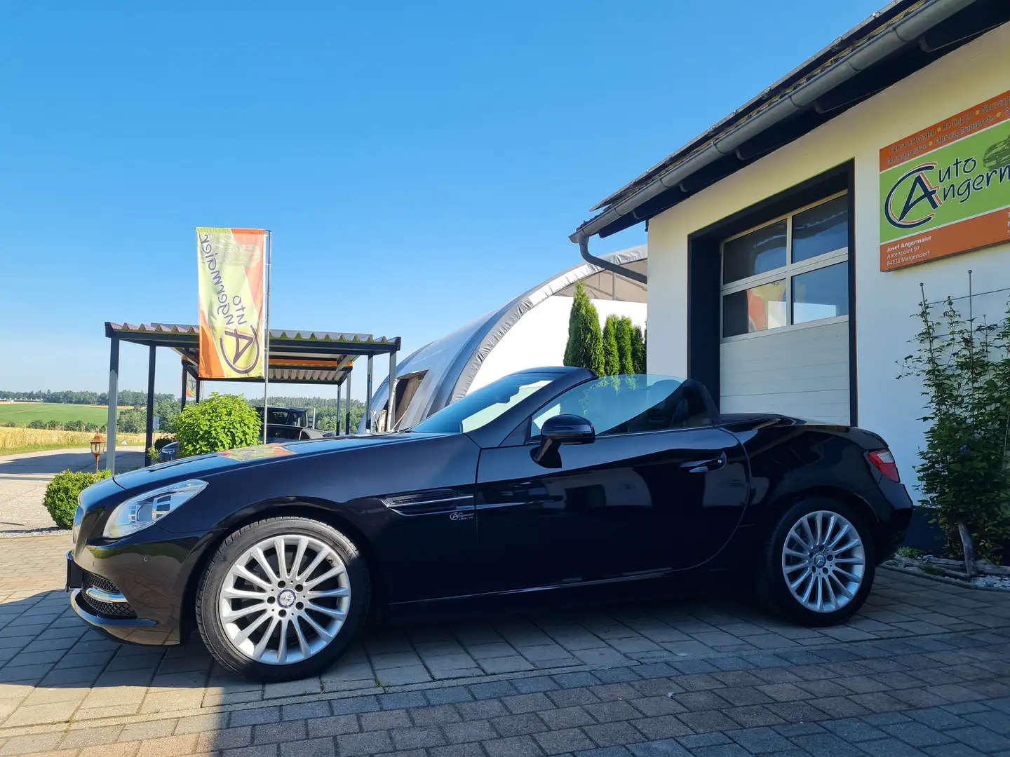Mercedes-Benz SLK 250 SLK 250 BlueEfficiency (172.447) Noir - 2
