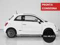 Fiat 500 500 1.2 Anniversario - thumbnail 3