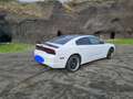 Dodge Charger 3,6 V6 Weiß - thumbnail 4